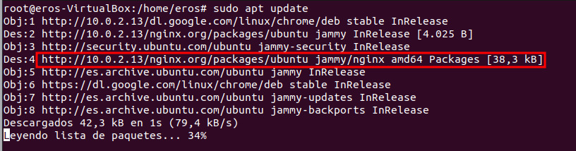 apt update - nginx descarregat des del servidor intern